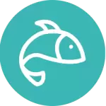 Balık ve balık ürünleri