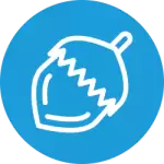 Kabuklular (Crustacea) ve bunların ürünleri