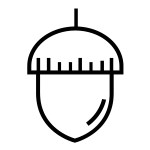 Sert kabuklu meyveler ve bunların ürünleri